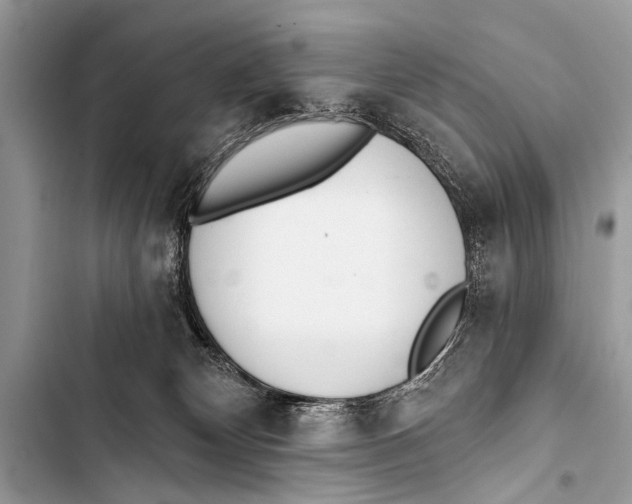 X0000103440132200810031422
