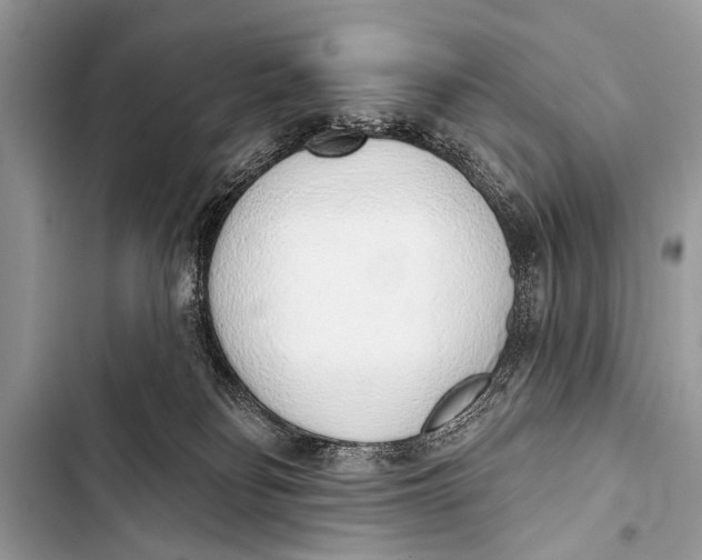 X0000103440134200810031422