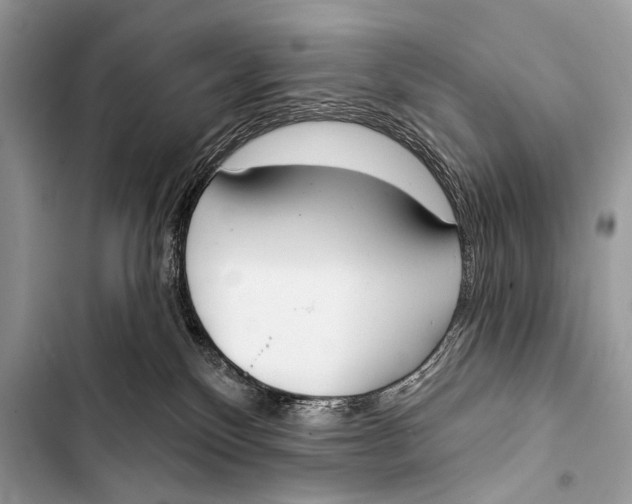 X0000103440136200810031422