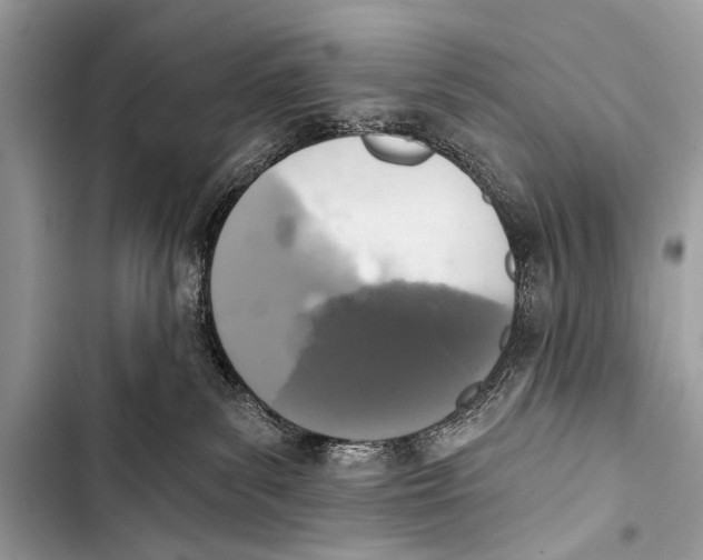 X0000103440139200810031422