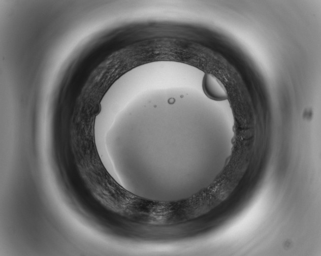 X0000103440143200810031422