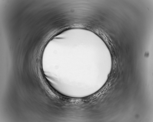 X0000103440145200810031421