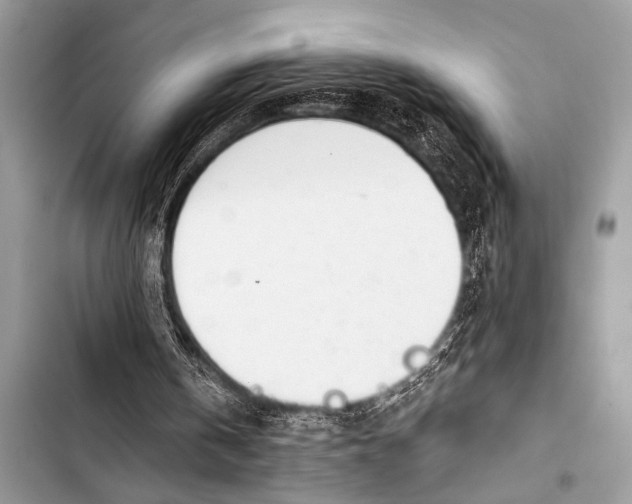 X0000103440146200810031421