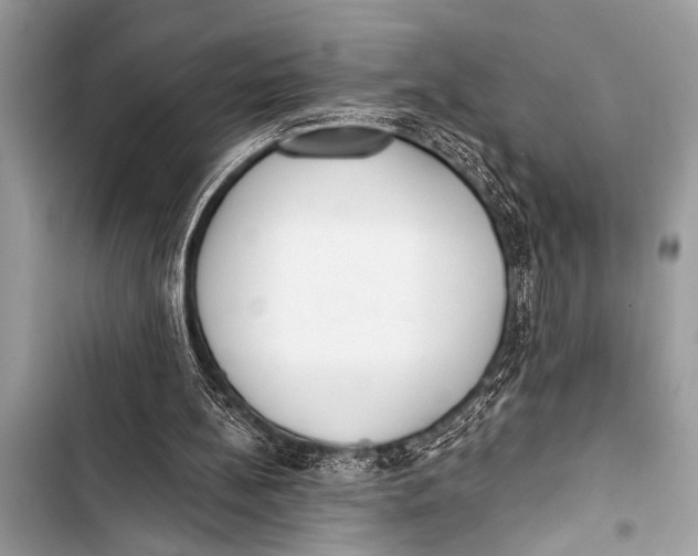 X0000103440148200810031421