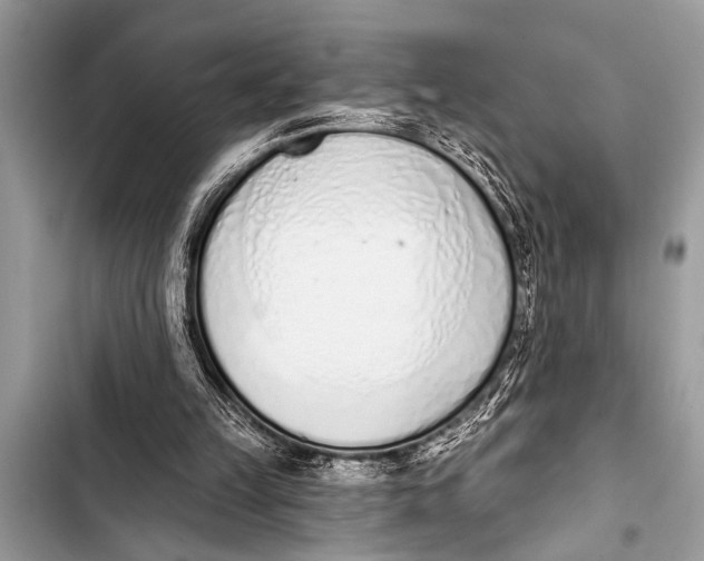 X0000103440149200810031421