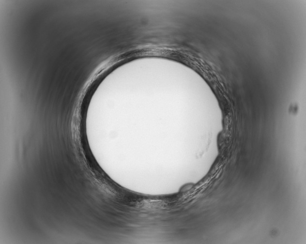 X0000103440150200810031421