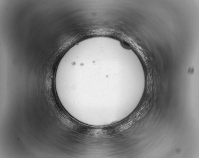 X0000103440153200810031421