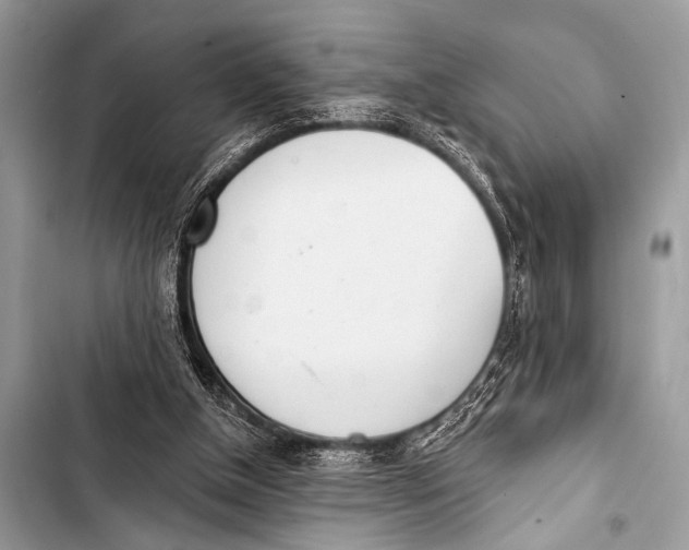 X0000103440154200810031421