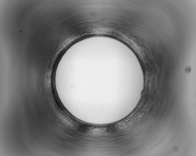 X0000103440155200810031421