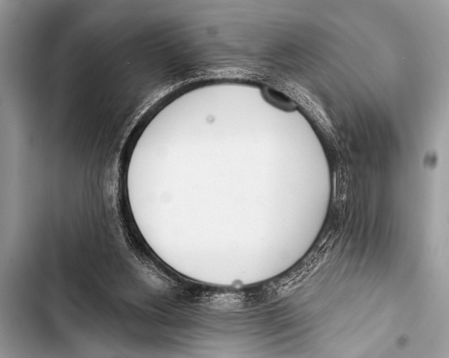 X0000103440156200810031421