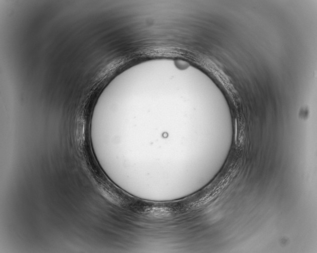 X0000103440157200810031421