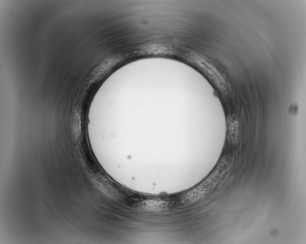 X0000103440158200810031421