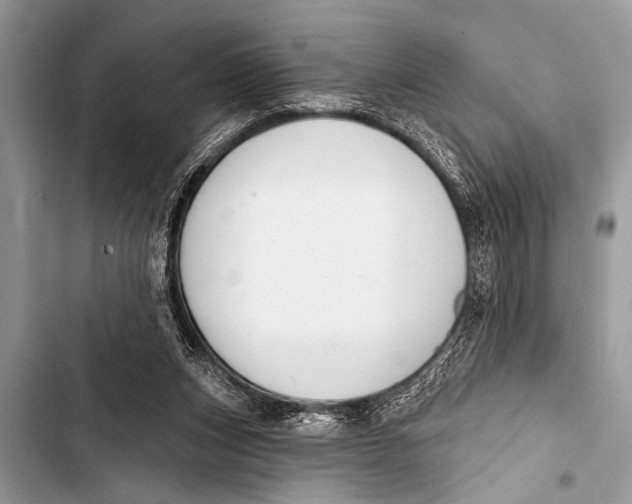 X0000103440159200810031421