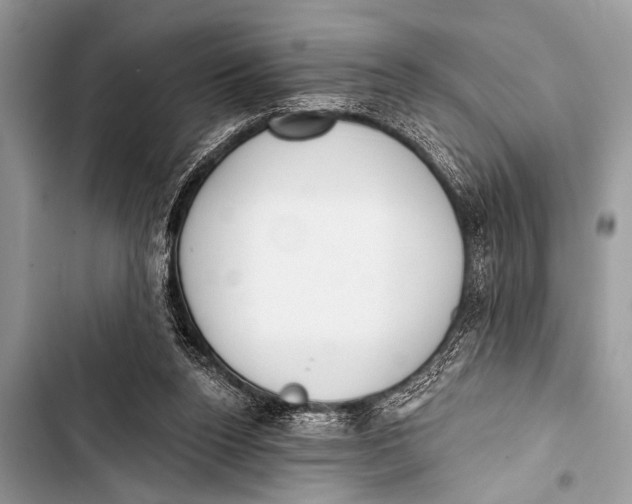 X0000103440160200810031421