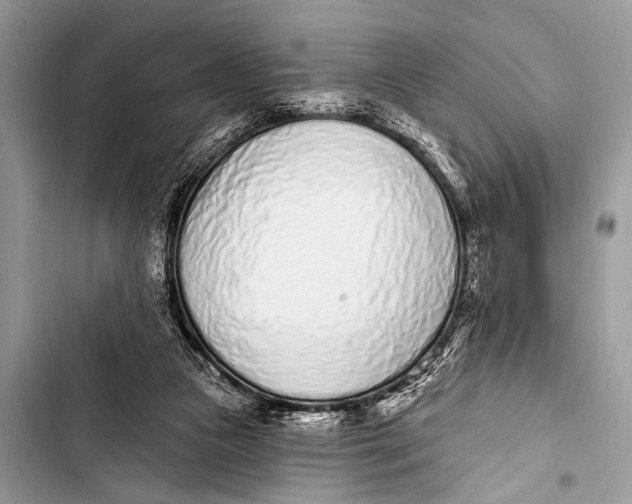 X0000103440161200810031421
