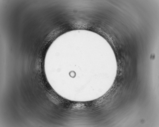 X0000103440162200810031421