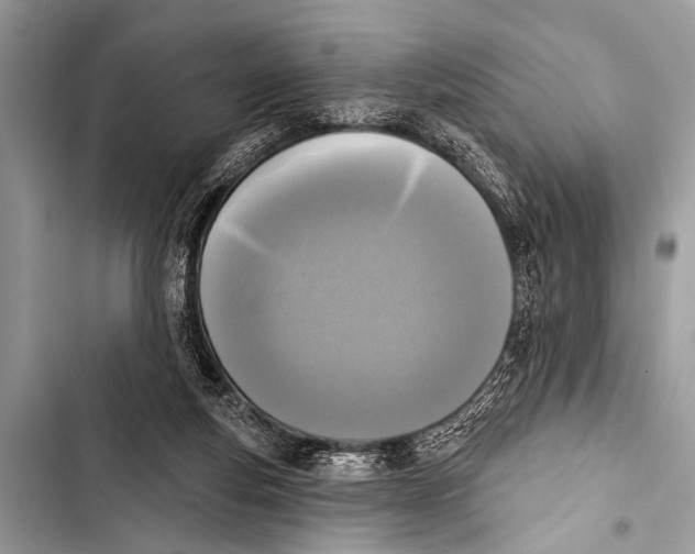 X0000103440163200810031421