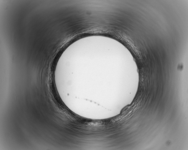 X0000103440164200810031421