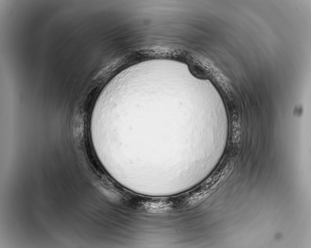 X0000103440165200810031421