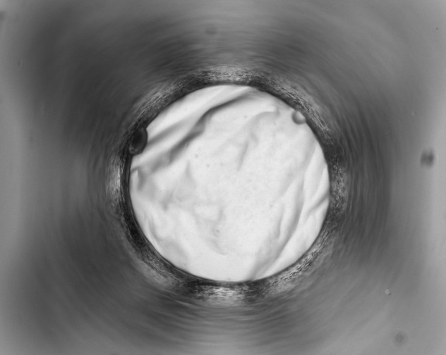 X0000103440166200810031421
