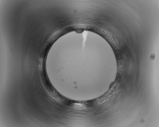 X0000103440167200810031421