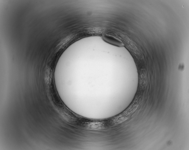X0000103440168200810031421