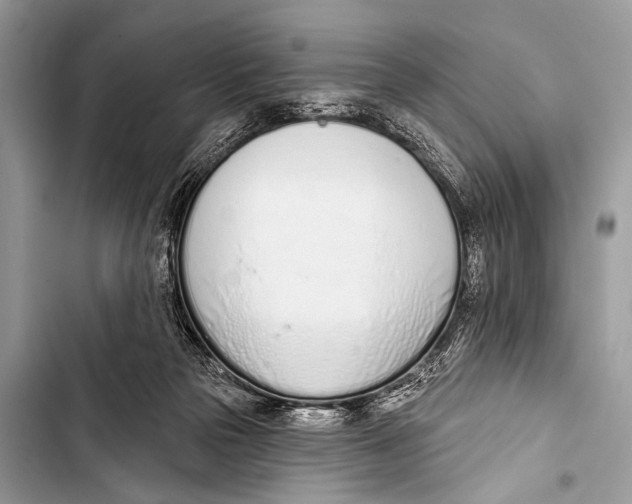 X0000103440169200810031421