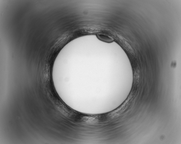 X0000103440170200810031421