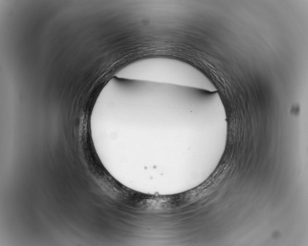 X0000103440172200810031421