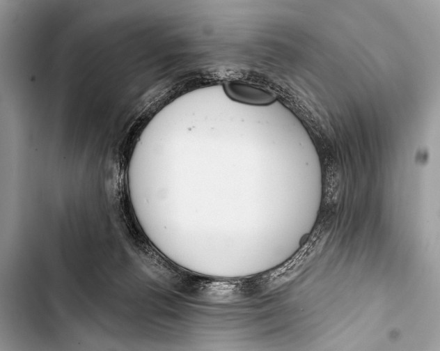X0000103440176200810031421