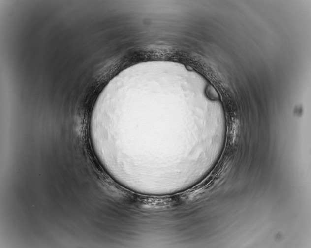 X0000103440177200810031421