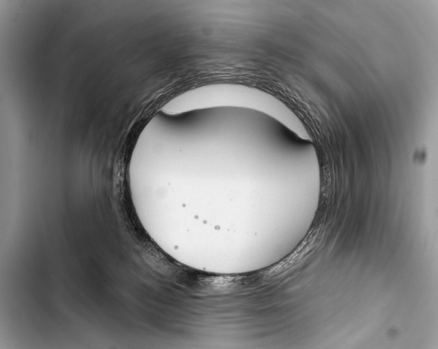 X0000103440184200810031421