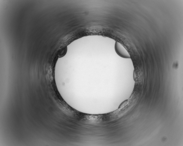 X0000103440187200810031422