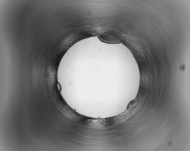 X0000103440188200810031422