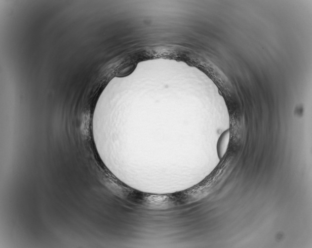 X0000103440189200810031422