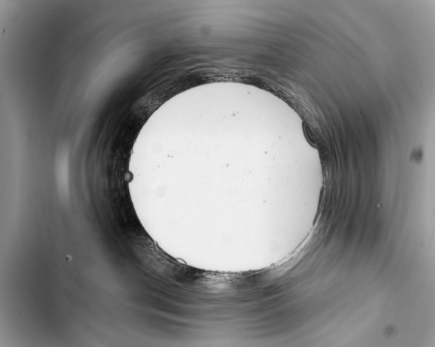 X0000103440190200810031422