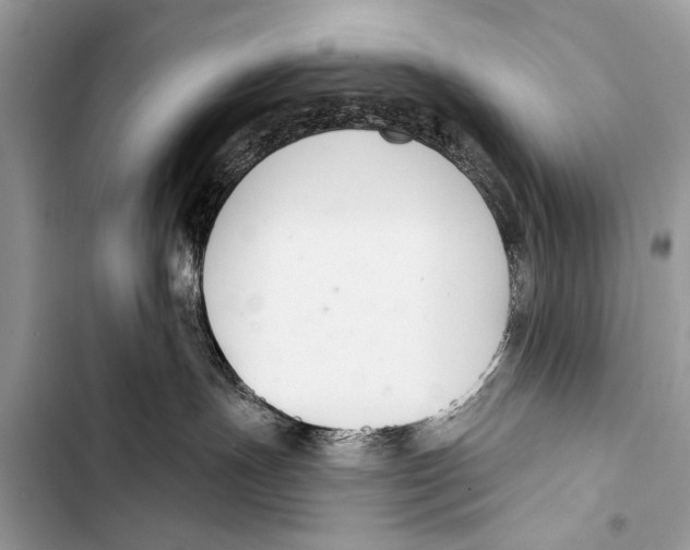 X0000103440191200810031422