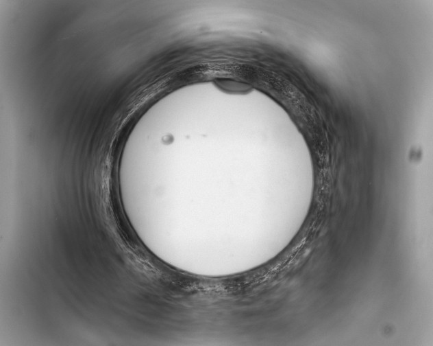 X0000103440194200810031421