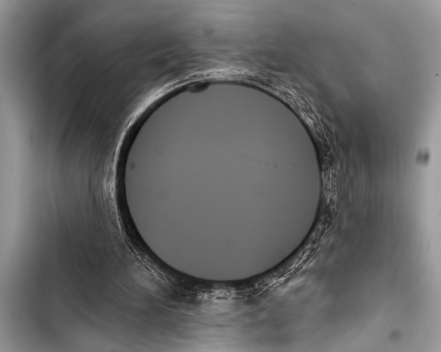 X0000103440196200810031421