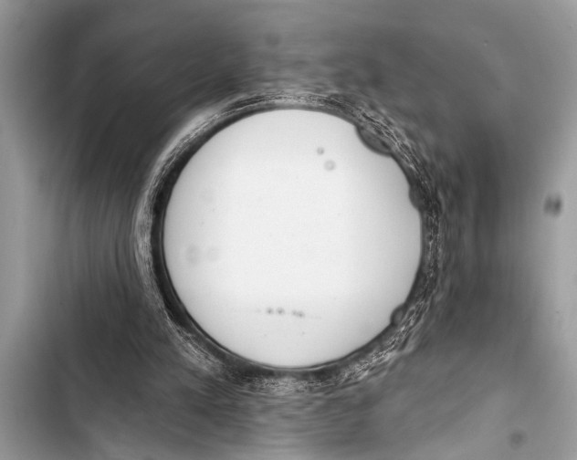 X0000103440197200810031421