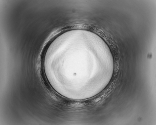 X0000103440198200810031421