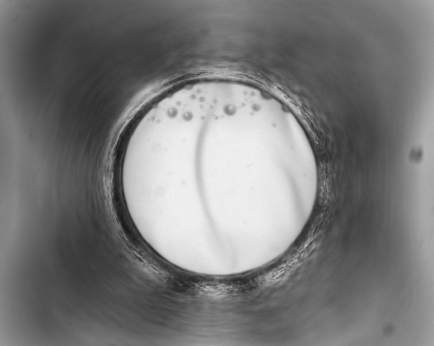 X0000103440199200810031421