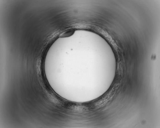 X0000103440201200810031421