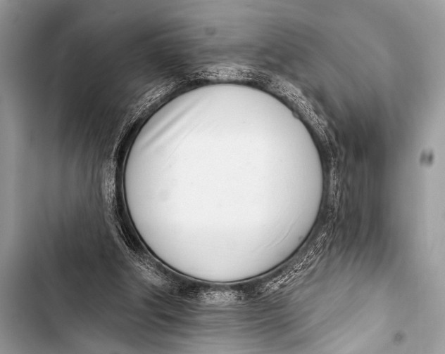 X0000103440202200810031421