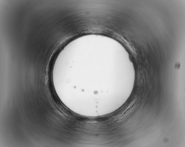 X0000103440203200810031421