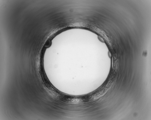 X0000103440204200810031421