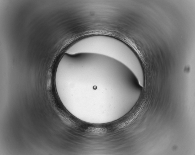 X0000103440205200810031421