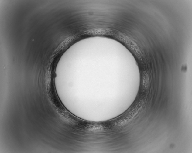 X0000103440206200810031421