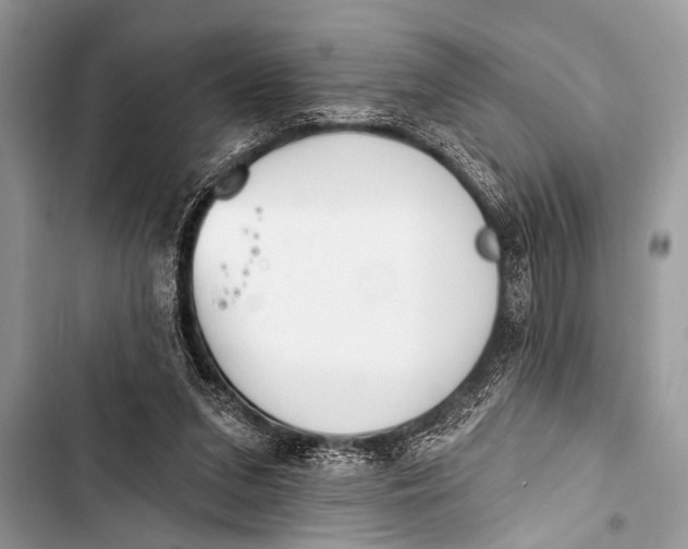 X0000103440207200810031421