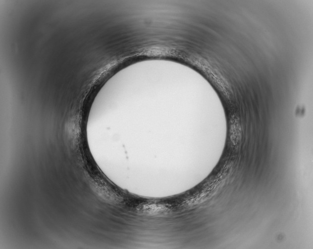 X0000103440208200810031421